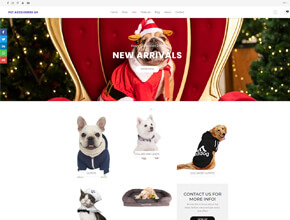 Pet Accessories website in the united kingdom