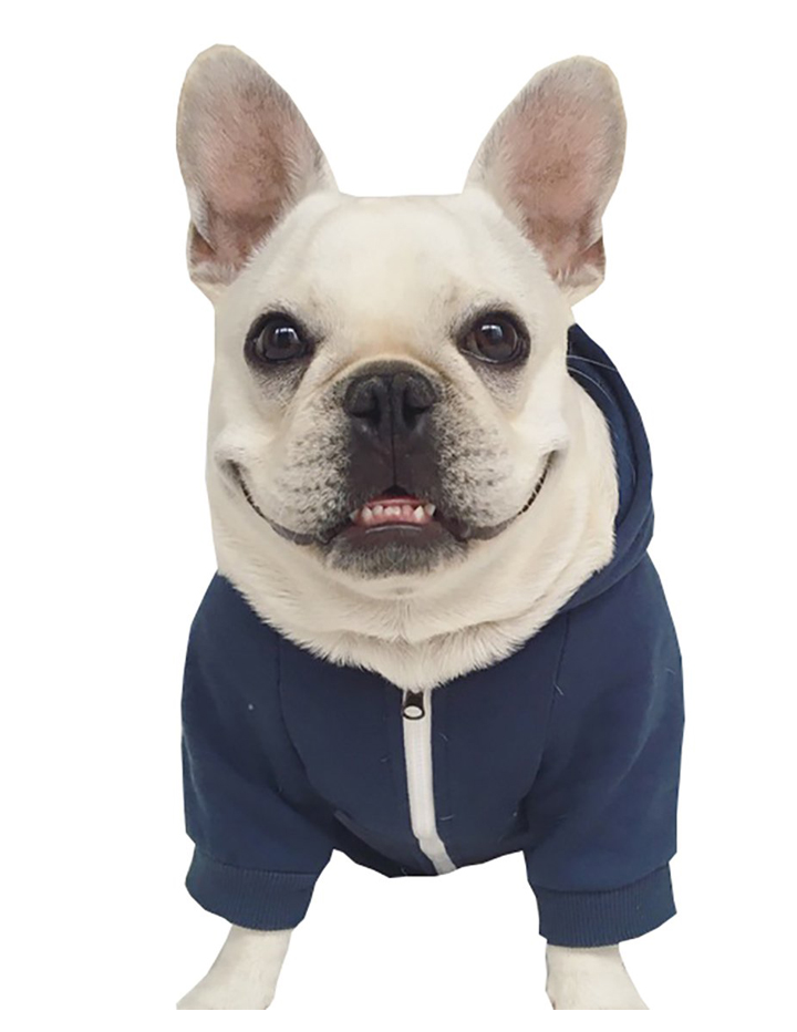 French bulldog hoodie