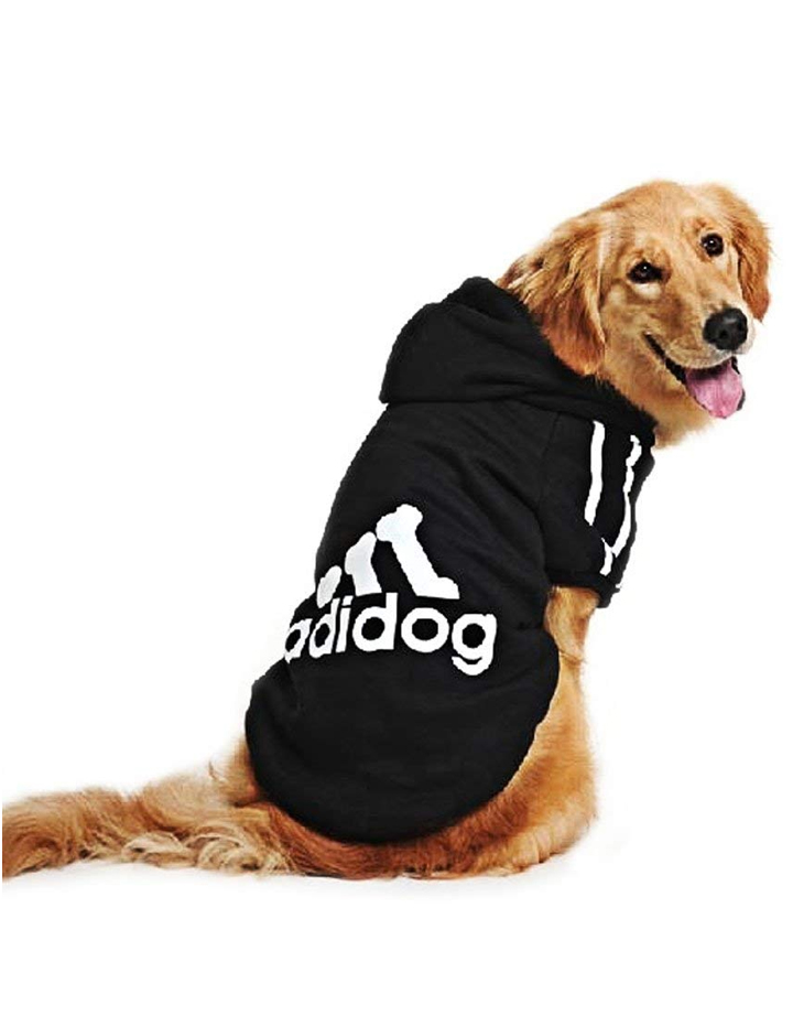 Adidog sweater