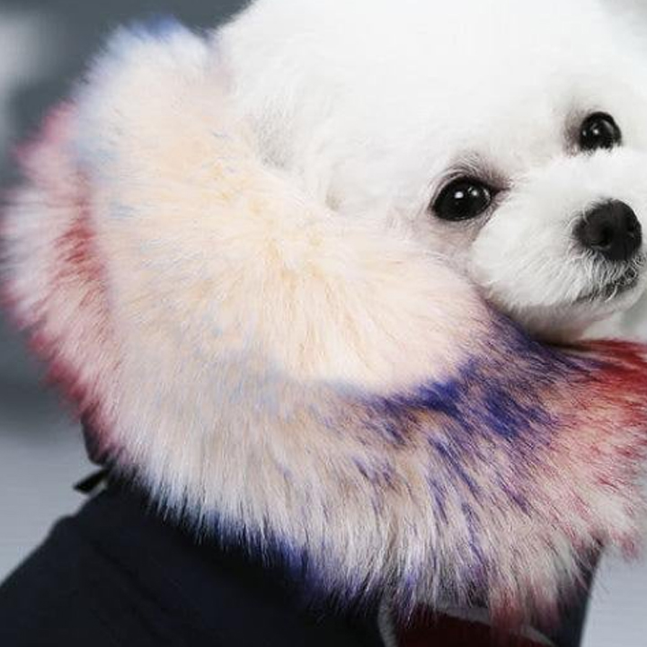 Fluffy dog jacket with hoodie