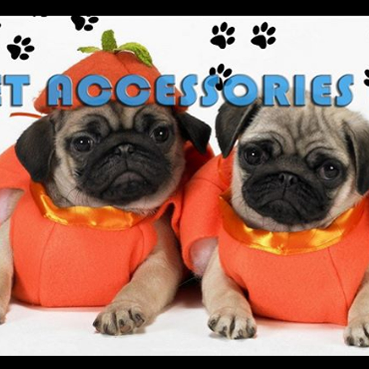 Dogs custome amazon