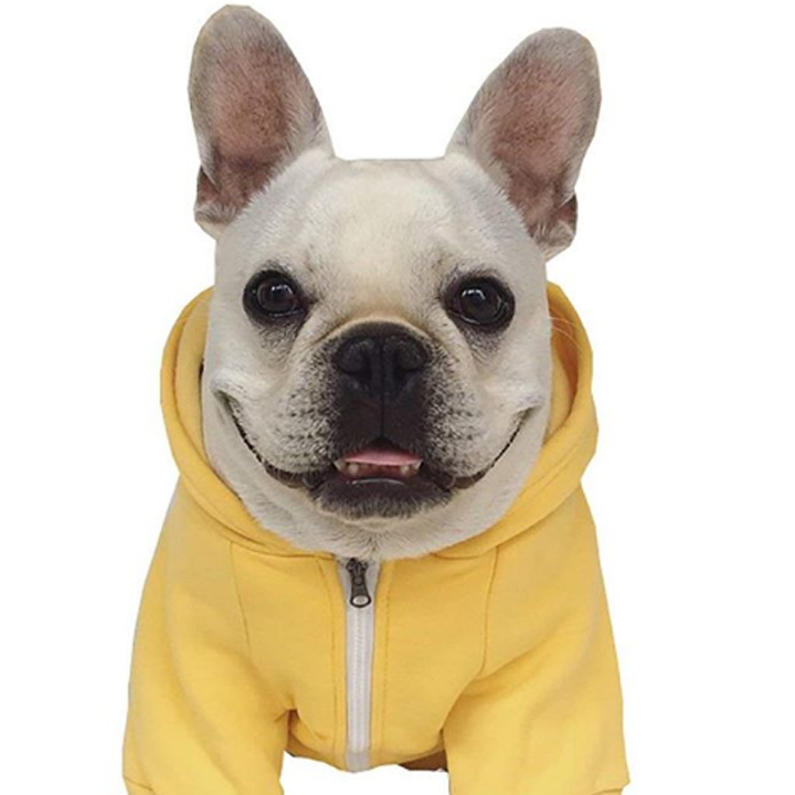 Hoodie for dogs yellow