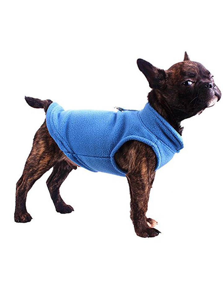 Dog outfit for dogs