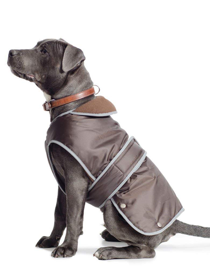 Large dog coats