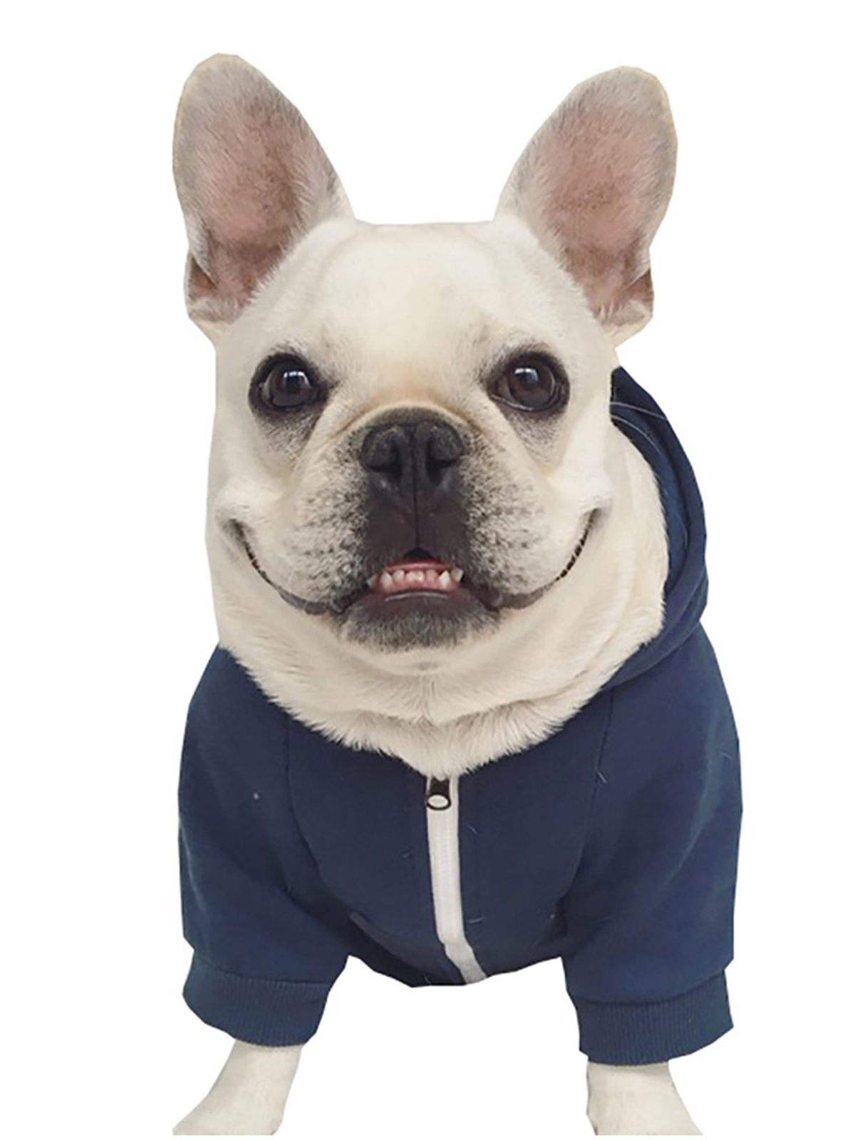 French bulldog hoodie