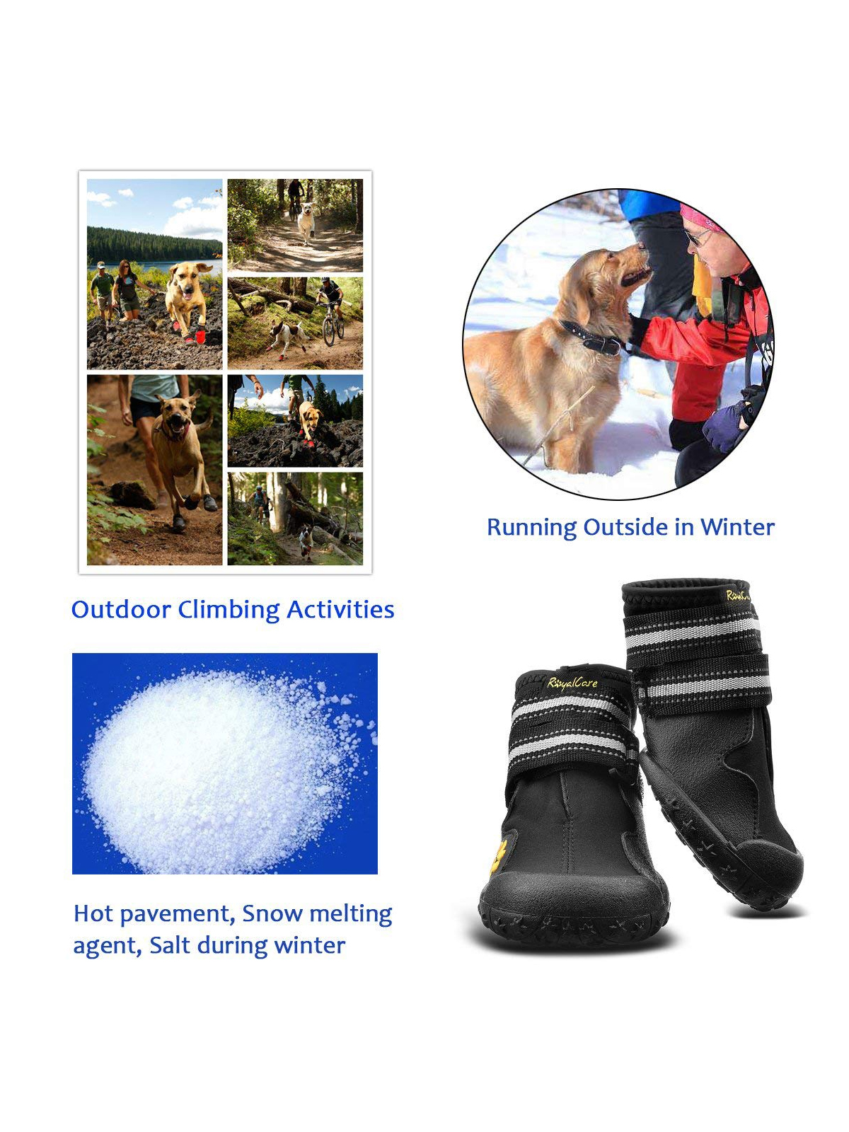 Dog protective sneakers