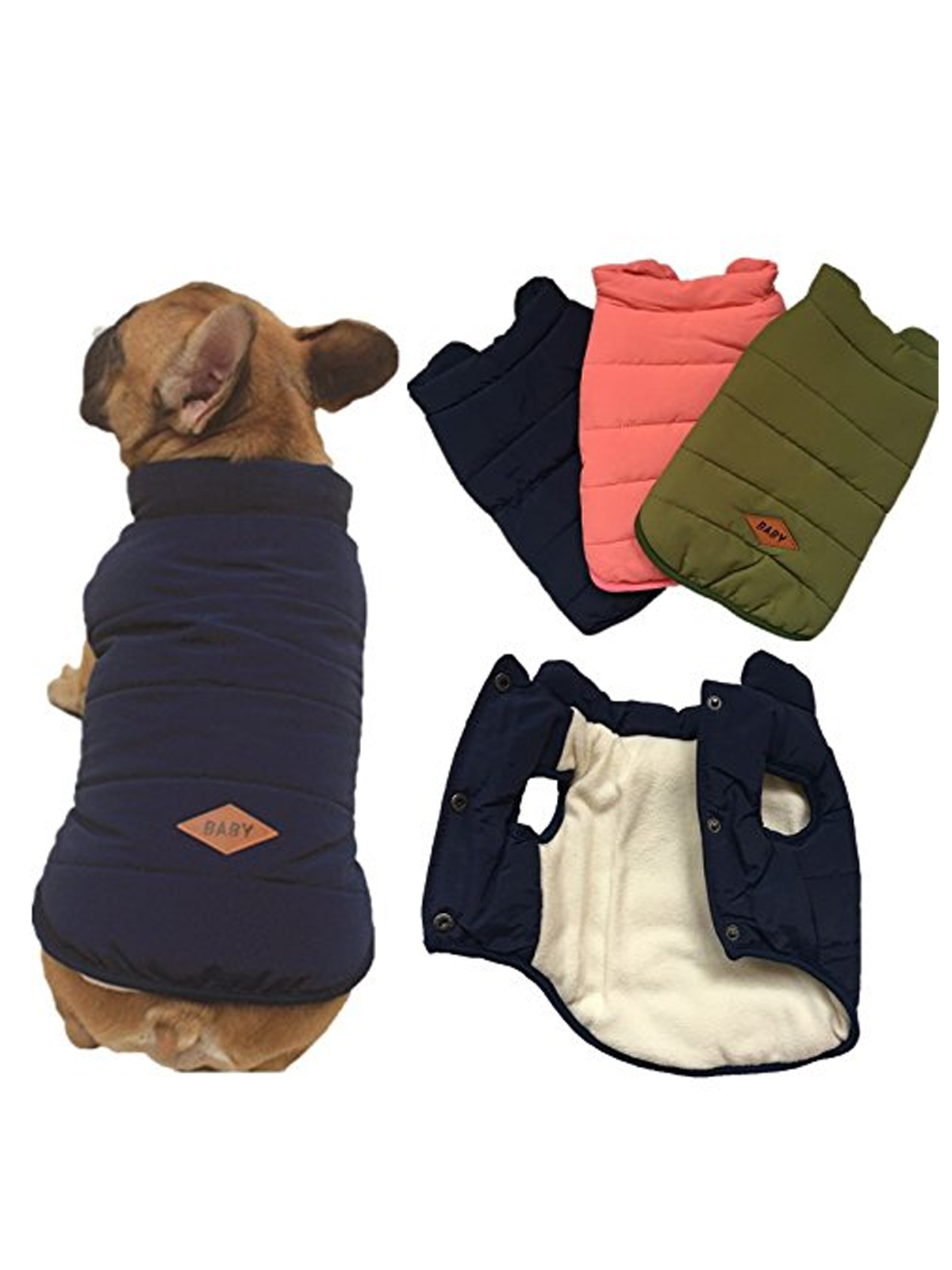 French bulldog color jackets