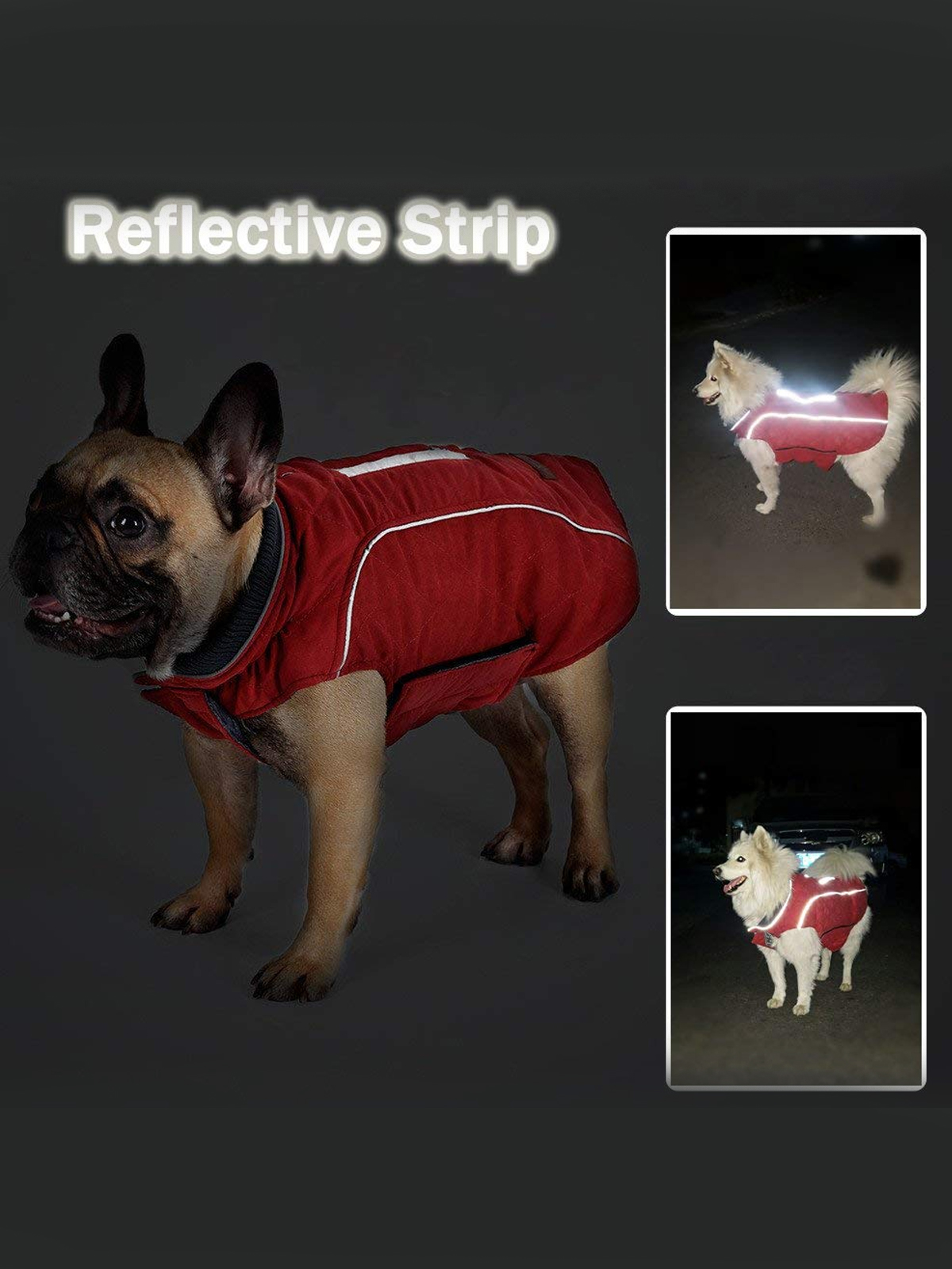 Reflecrive dog jackets for small breeds