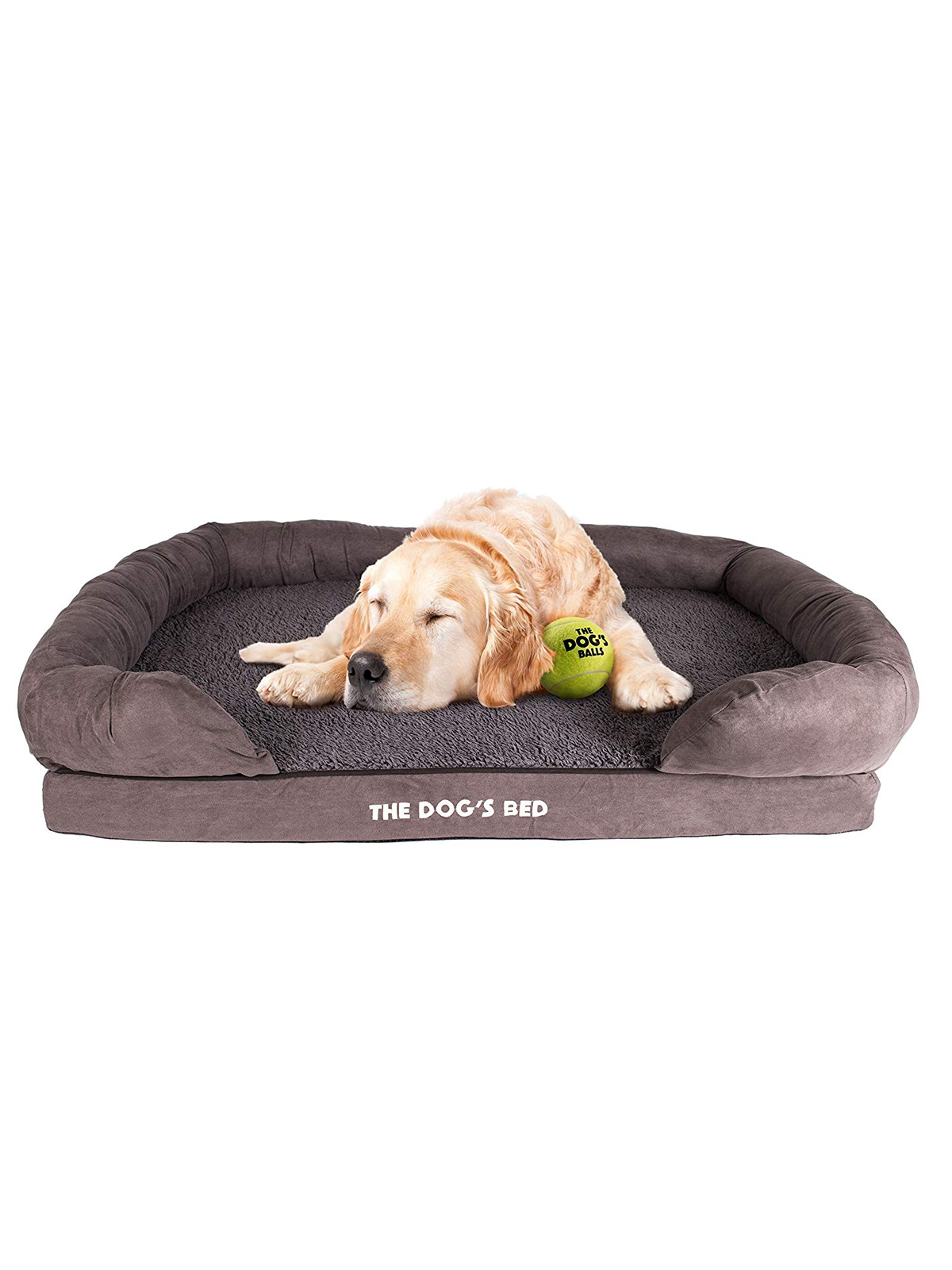 Dog sleeping in a bed