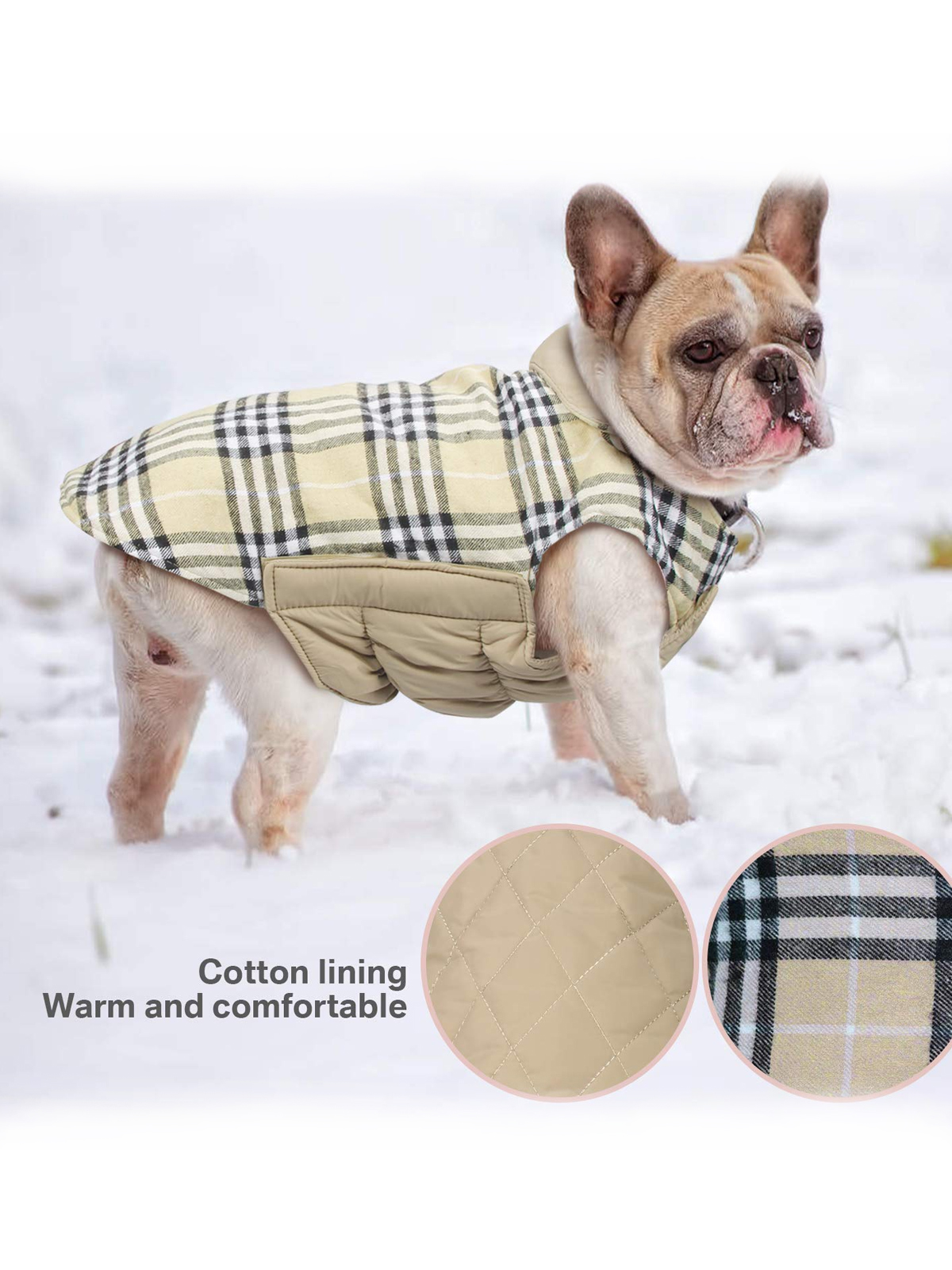 Dog with coat playing in snow